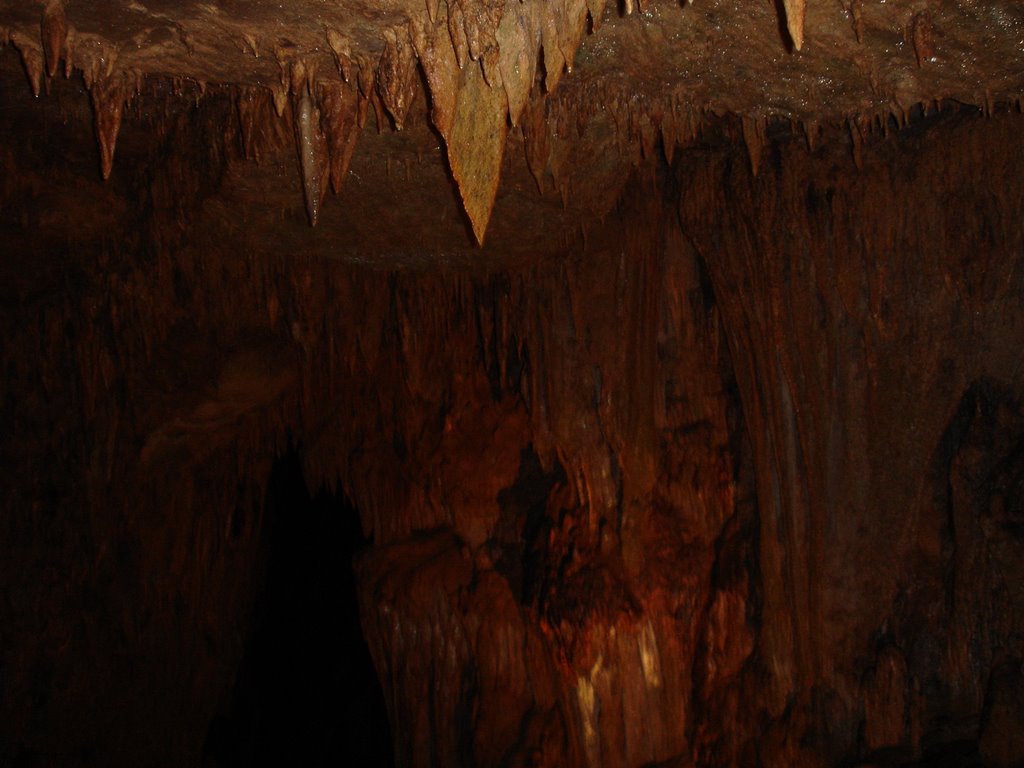 Camuy caves8 by Gabriel D'Attili