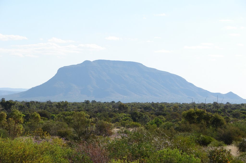 Mount Bruce - Karijini N.P. by Derek Graham