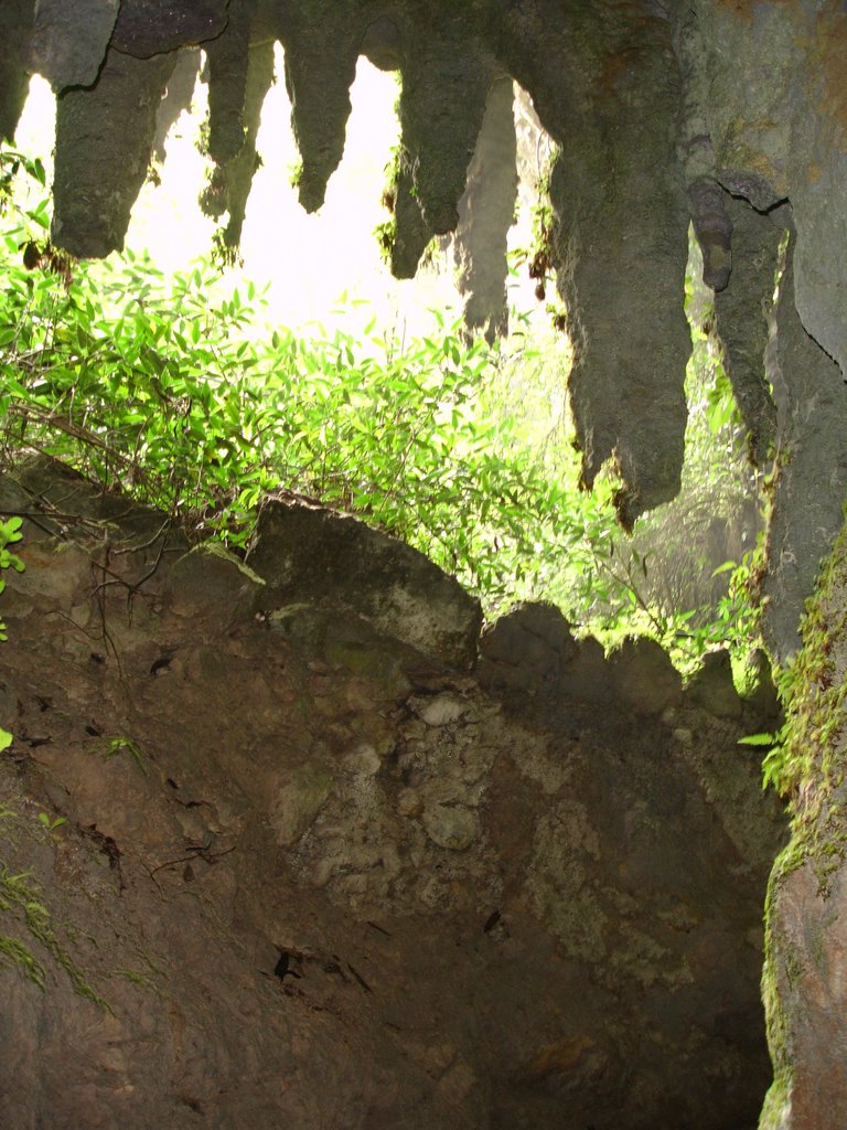 Camuy caves10 by Gabriel D'Attili