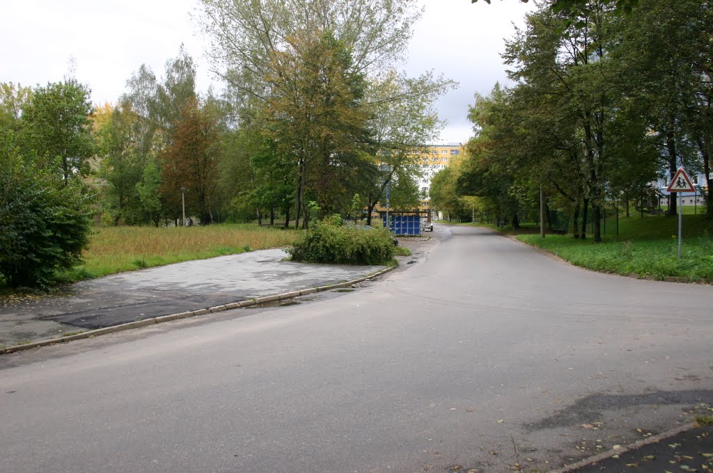 Herbst auf der Wenzel-Verner-Strasse im Jahr 2010 by Helbersdorfer