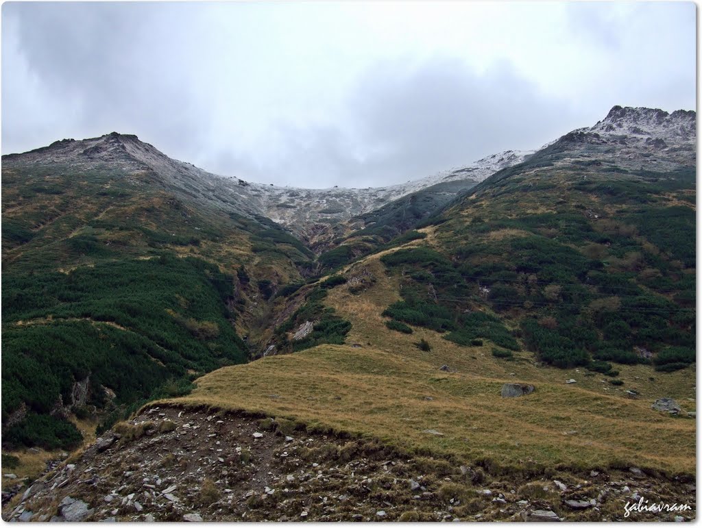 Transfagarasanul - peisaj by Estrela Avramovici