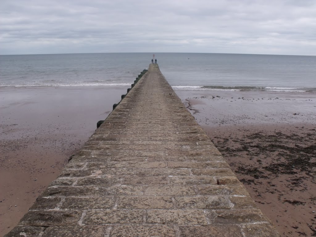 Dawlish Jetty by Mike Pinkney