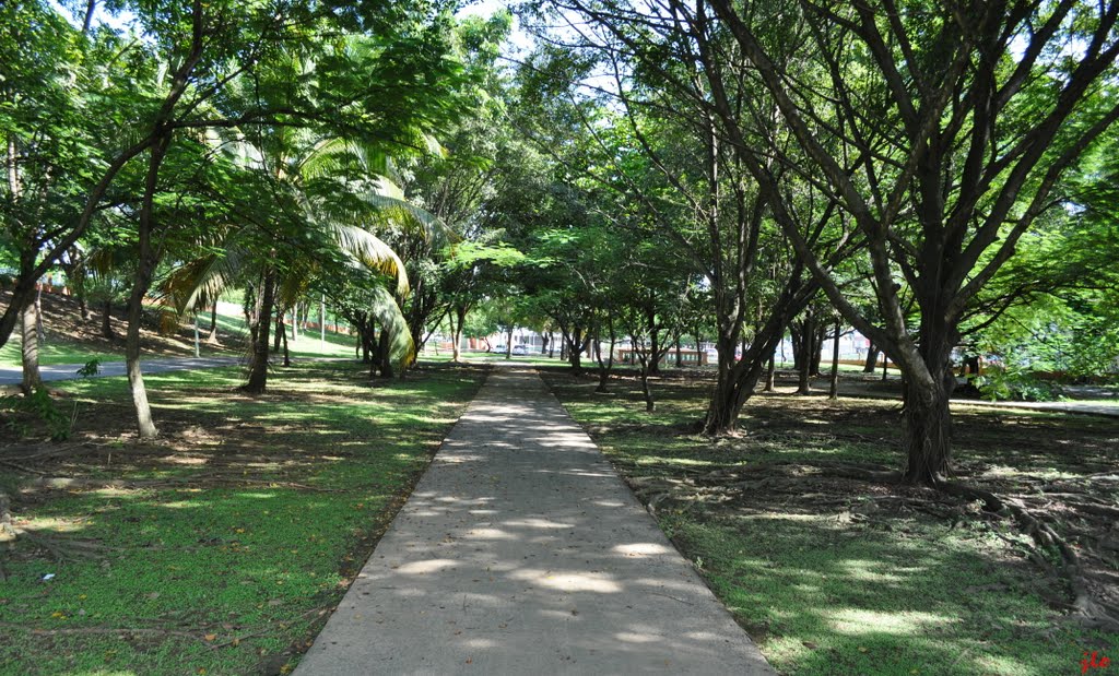 Paseo Lineal Mario Gaztambide Arrillaga, Lomas Verdes Bayamón by J Ortiz Rosario