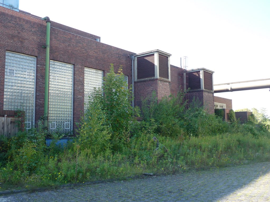 Hinter dem Fördermaschinen- und Umformerhaus von Schacht 7 (Zeche Schlägel & Eisen 3/4/7, Herten-Langenbochum) / 10.10.2010 by Daniil Bartholomae