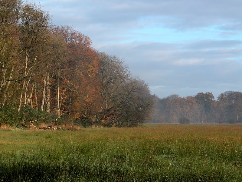 Beekvallei in de Oostereng by Jan Visser