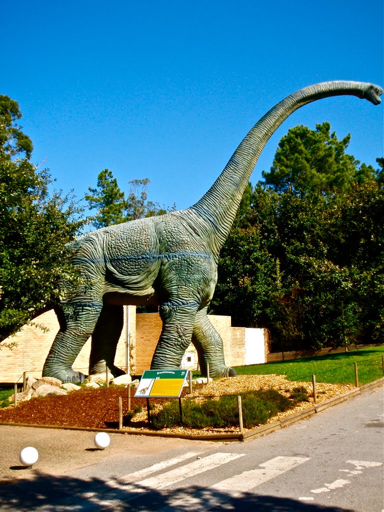 Entrada do Parque Biologico de Gaia by Guizel