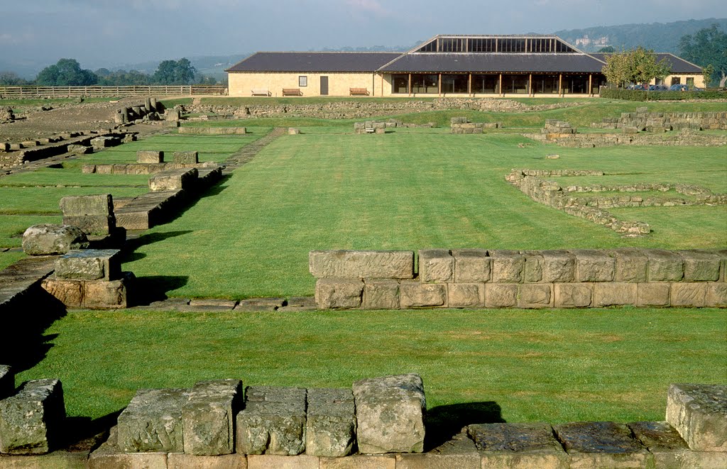 Corbridge Roman Site, Northumberland by welshio