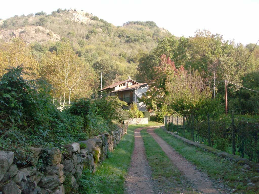 Le vigne di Montalto Dora by Mononeuro