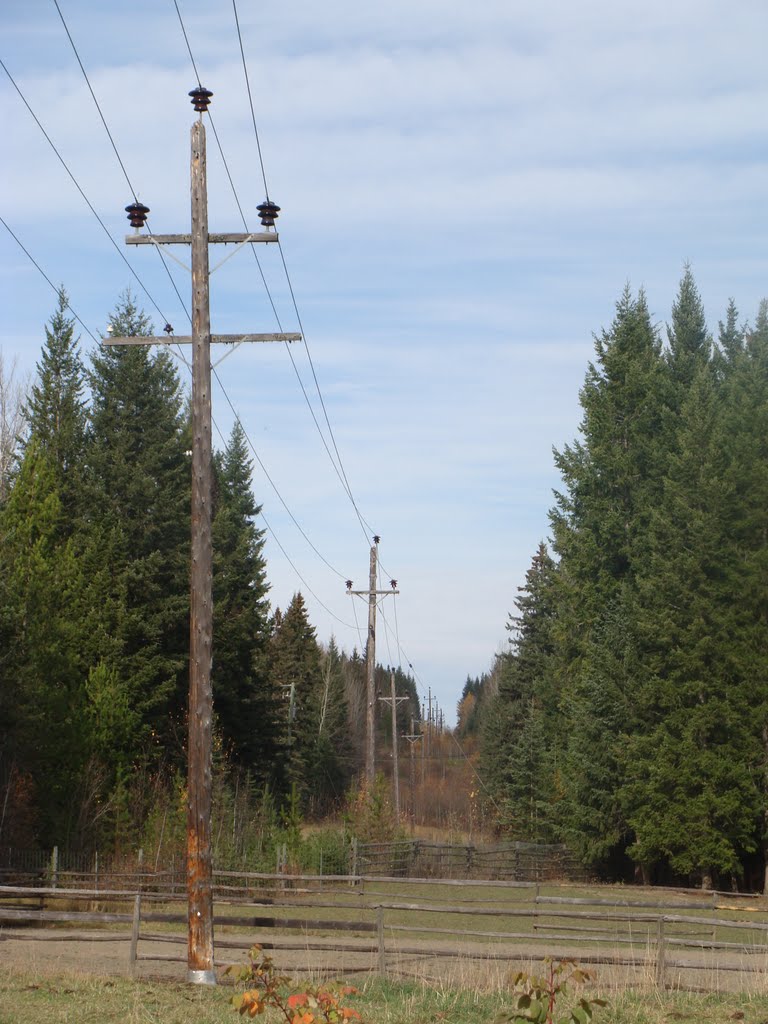 Lovelidge Road, Cariboo A south of Quesnel, BC, Canada by Wolfgang Hofmeier