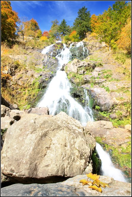 Todtnauberger Wasserfall by Elke Stoll