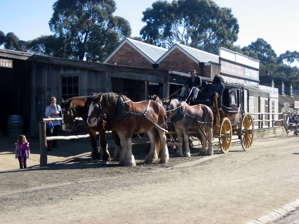 Horses by Rob Lee