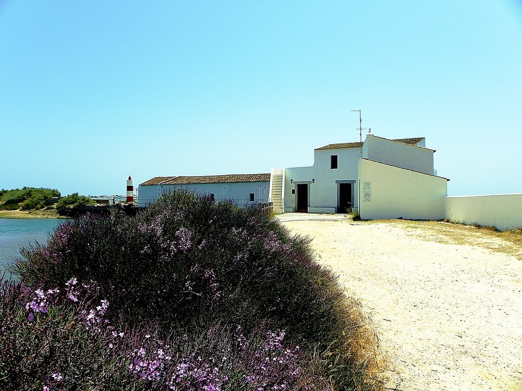 Olhão-Quinta de Marim-Moinho de Maré by Francisco Bom