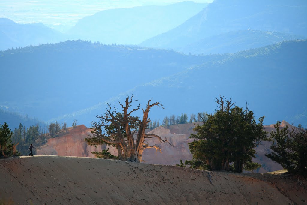 Cedar Breaks National Monument by LouisSaint