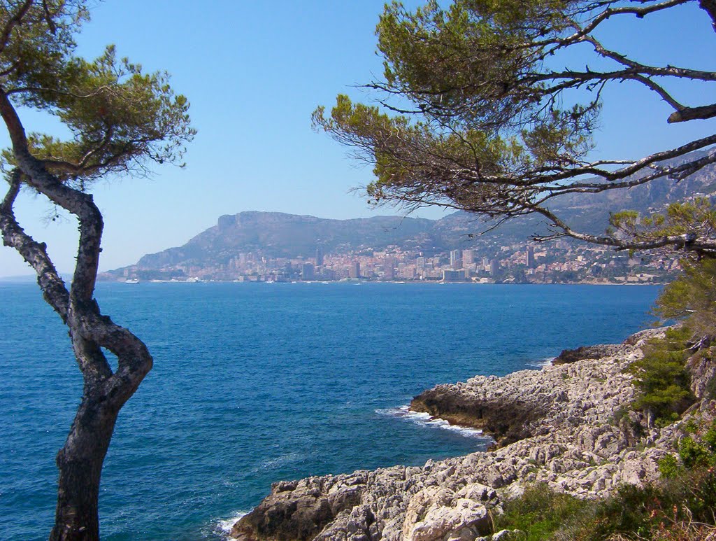 ROQUEBRUNE-CAP-MARTIN : SENTIER DES DOUANIERS, VUE SUR MONACO by CHPOLONAIS