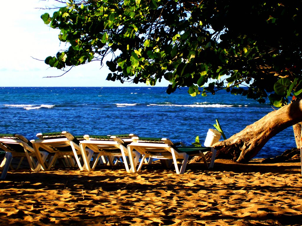 The Beach at Riu Bachata by eric.hare