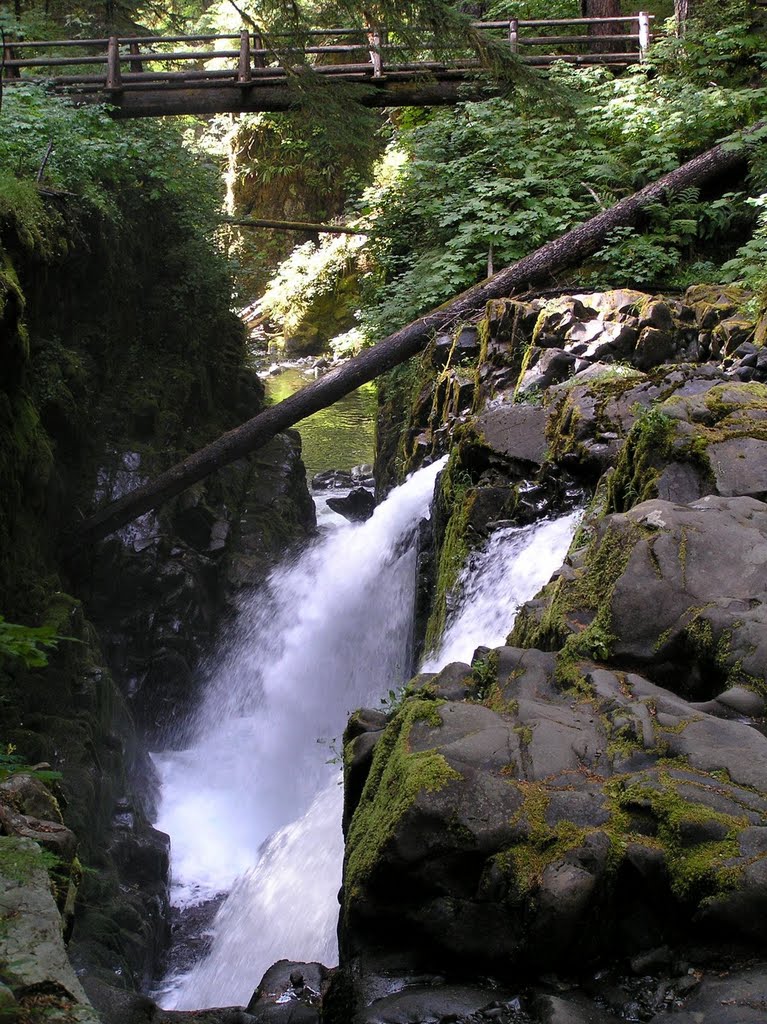 Sol Duc Falls by rwdw