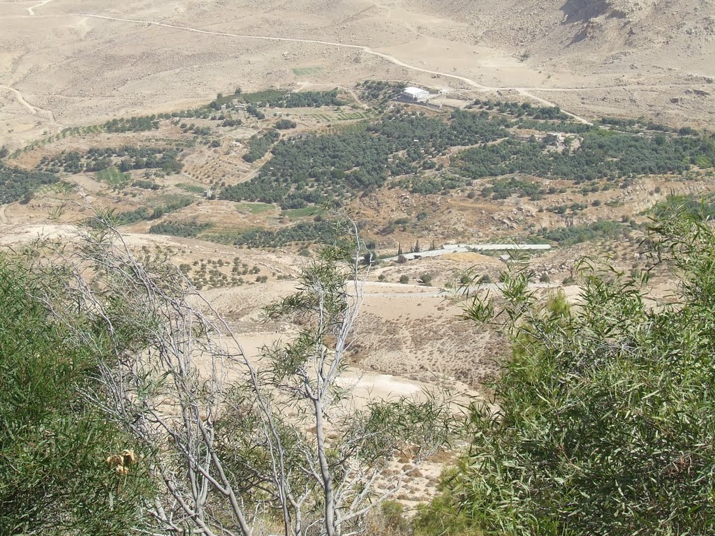 Jordan. Mount Nebo (42173074) by Viktor Bakhmutov