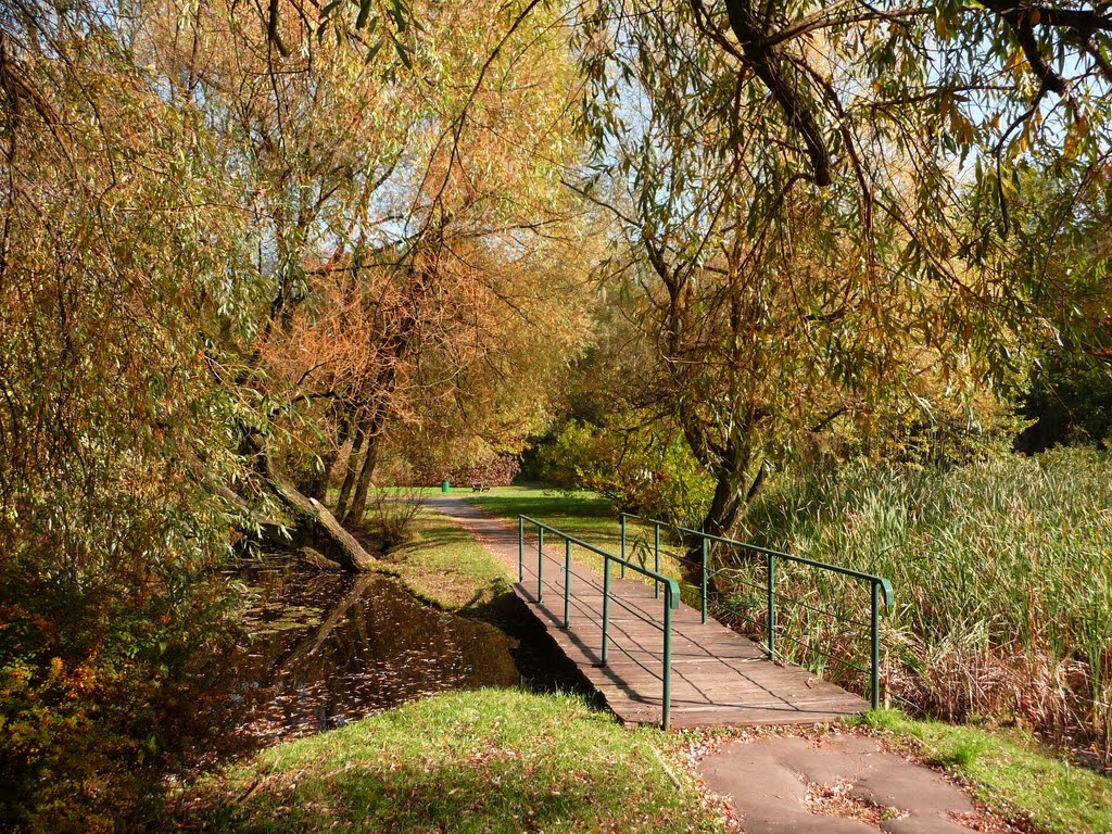 Mostek nad stawem (a bridge over the pond) by Ari-chaan