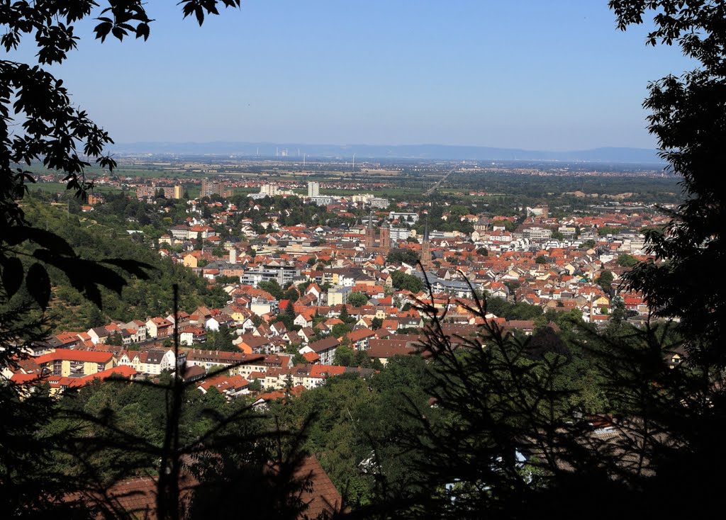 Blick vom Römerweg auf Neustadt by bergstein