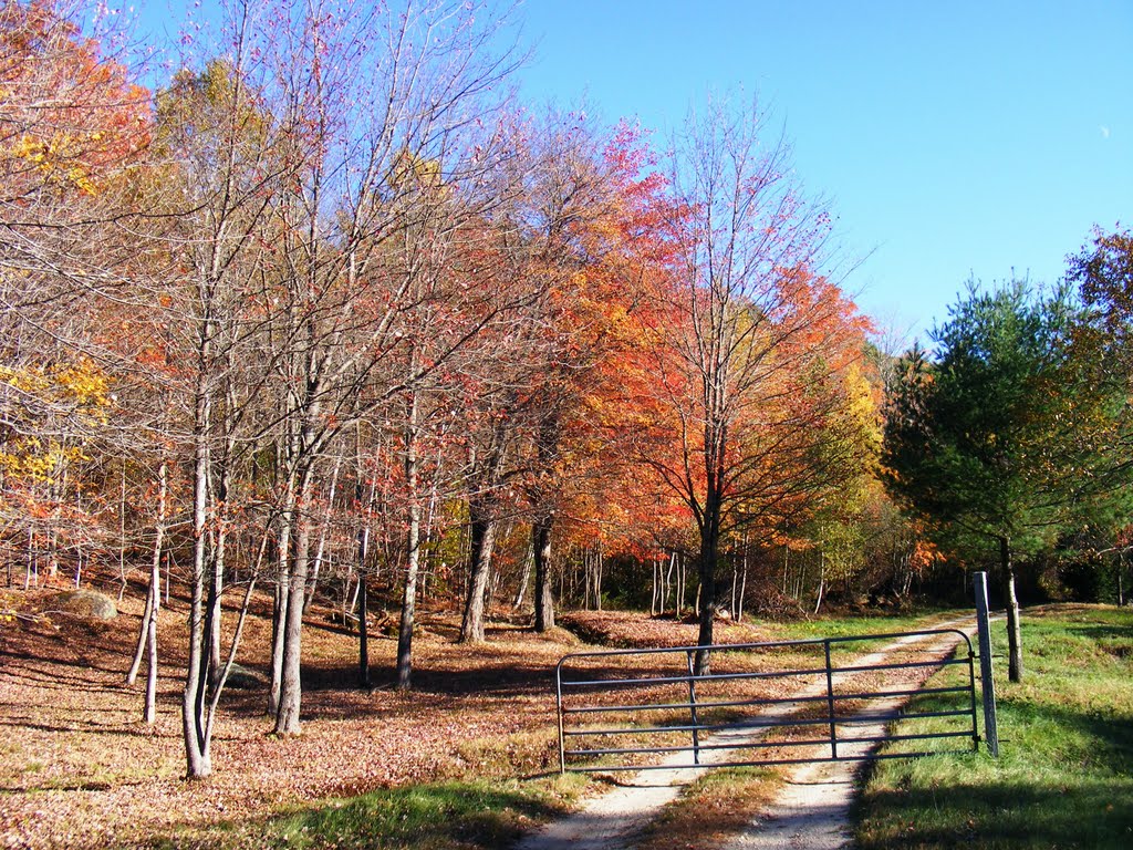 Warner, NH, USA by JB The Milker