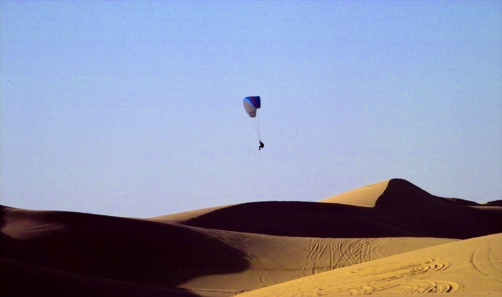 Paraglider, floating on coastal upcurrent by hermaxi