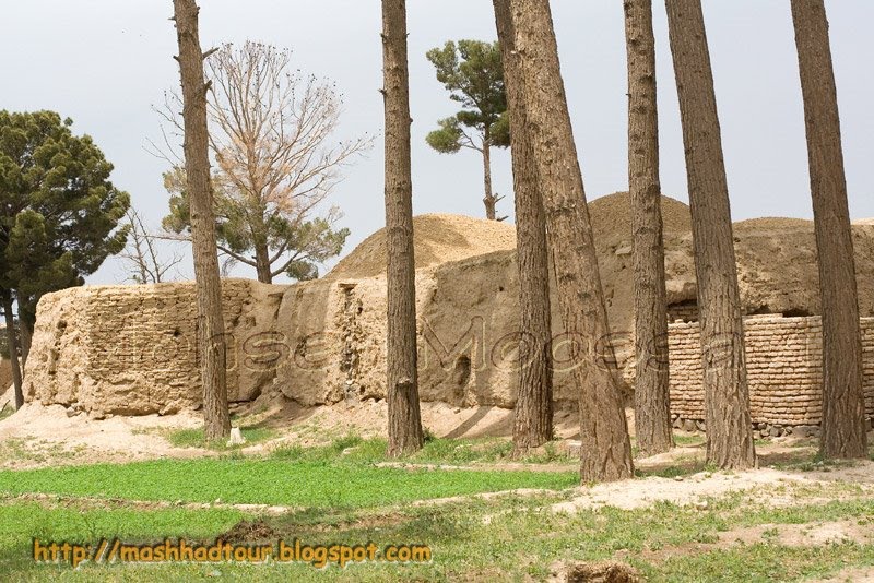 Iran, Khorasan , Birjand, Mud Garden, ،ایران، خراسان جنوبی ، بیرجند ، قلعه ی مود by Mohsenmoossavi