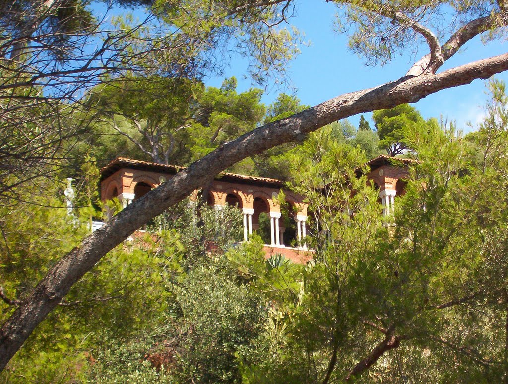 ROQUEBRUNE-CAP-MARTIN : PERGOLA DE LA VILLA CYPRIS DANS LA PINÈDE by CHPOLONAIS