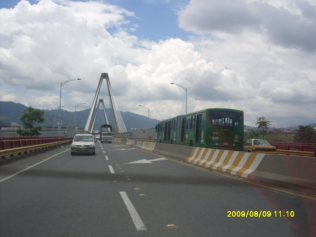 Viaducto y Megabus by Carlos A. Moreno