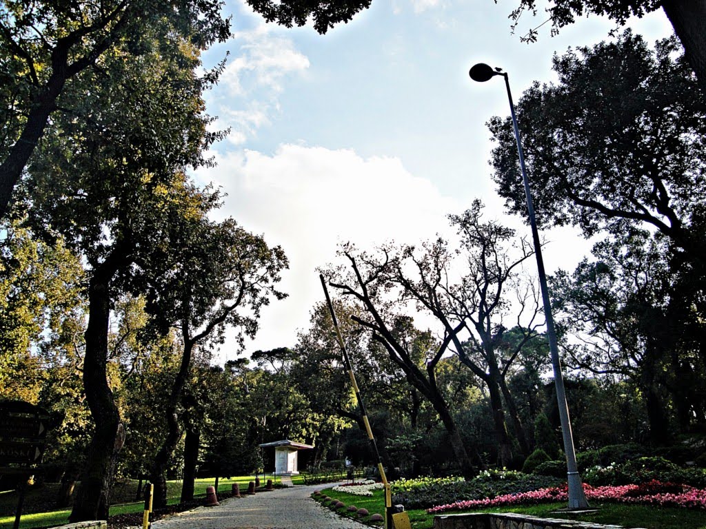 İSTANBUL KÜÇÜK ÇAMLICA SMALL ÇAMLICA HILL by White HORSE