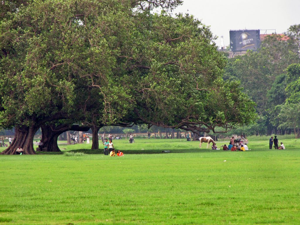 A View of Kolkata Maidan by Arijit Banik