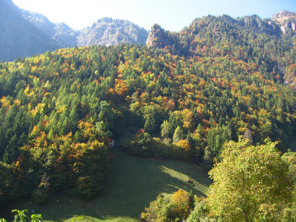 Colori autunalli - Pusdosso - Isola di Fondra - BG by ANDREA GERVASONI