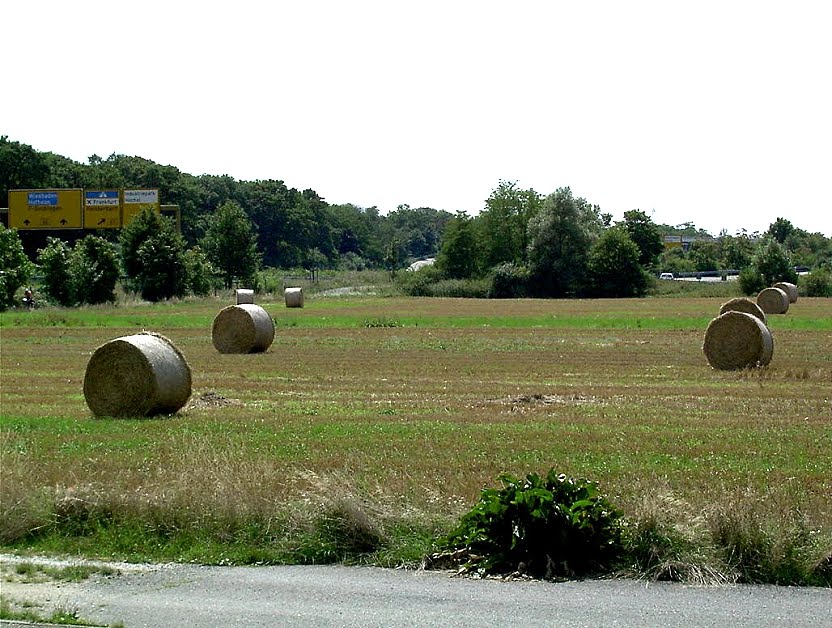 Zwischen Kelsterbacher Weg und B40a by gegagel