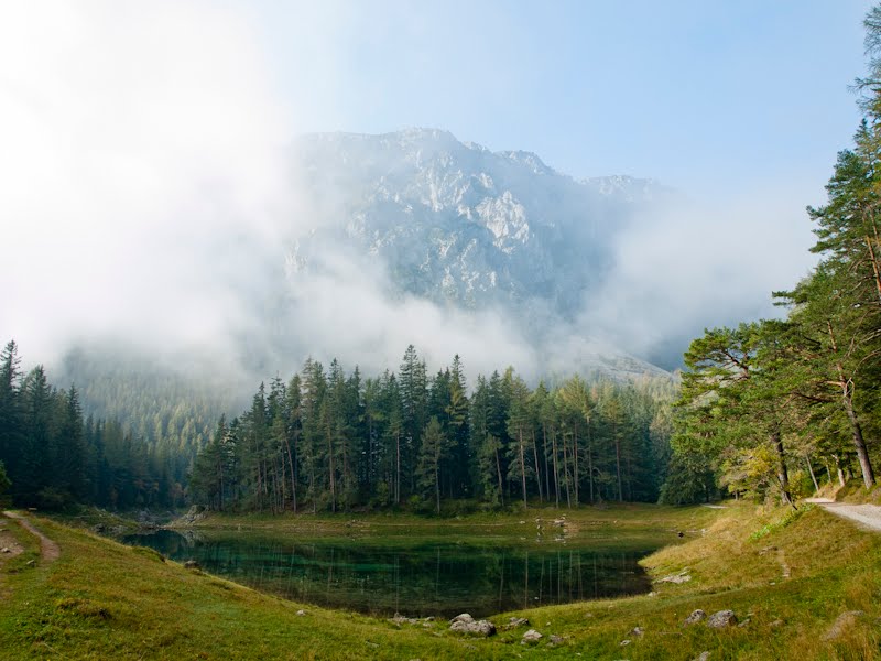 Tragöß, Austria by Molnár Szabolcs