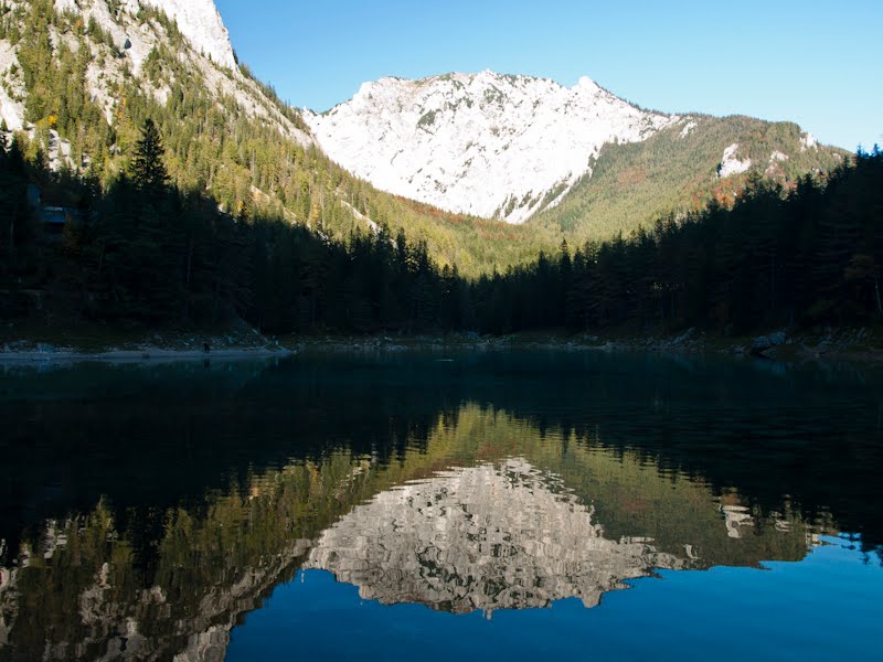 Tragöß, Austria by Molnár Szabolcs