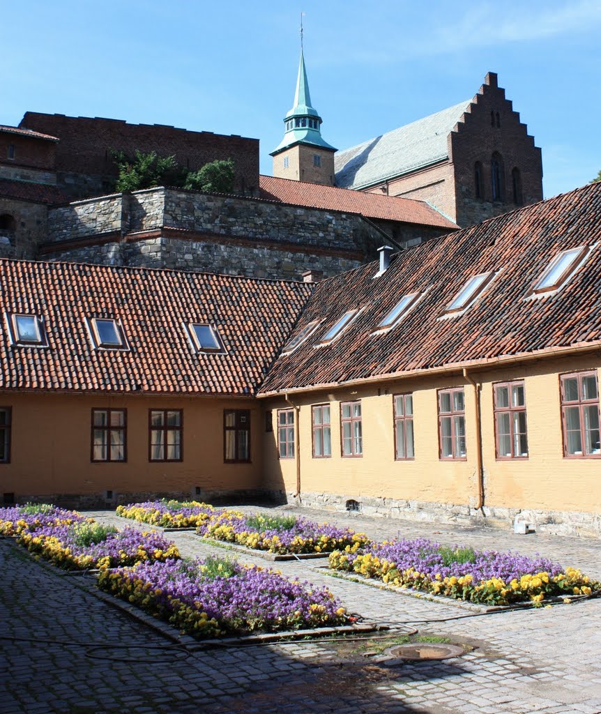 Flower beds at Akerhus, Oslo by Wayne Holmes