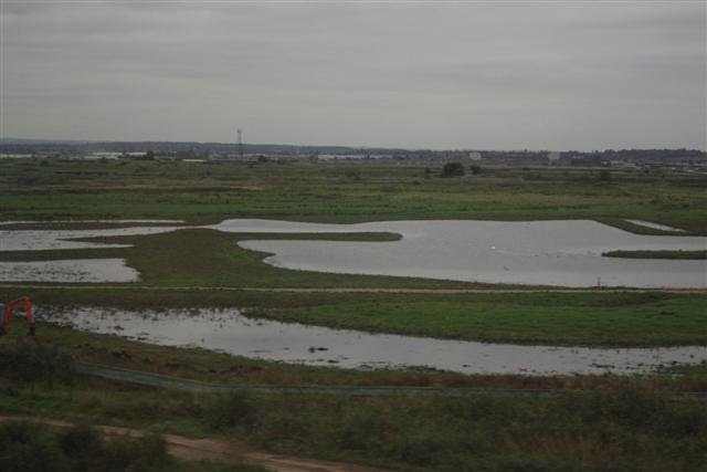 Marsh Land by Tony Oldfield