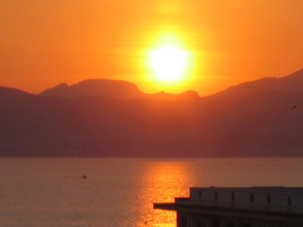 EL ARENAL AL ATARDECER, MALLORCA by javier orte