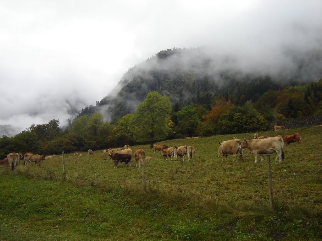 Valle , subiendo a l ´Artiga de Lin ( Es Bòrdes ) by tijerator