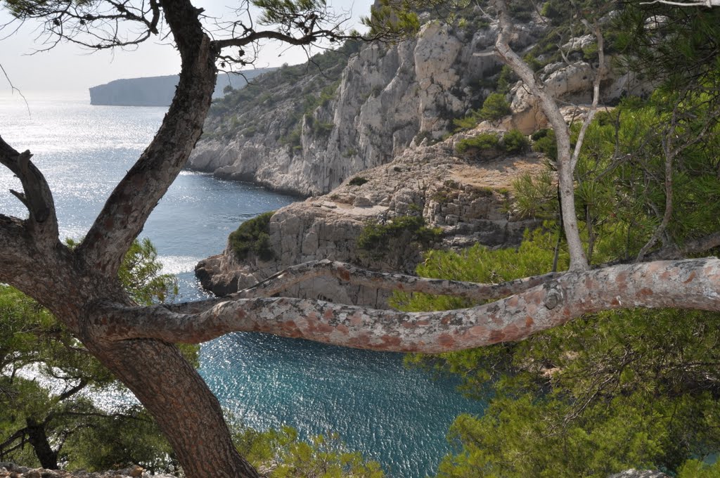 Calanques de MARSEILLE SUGITON by hugmar2129