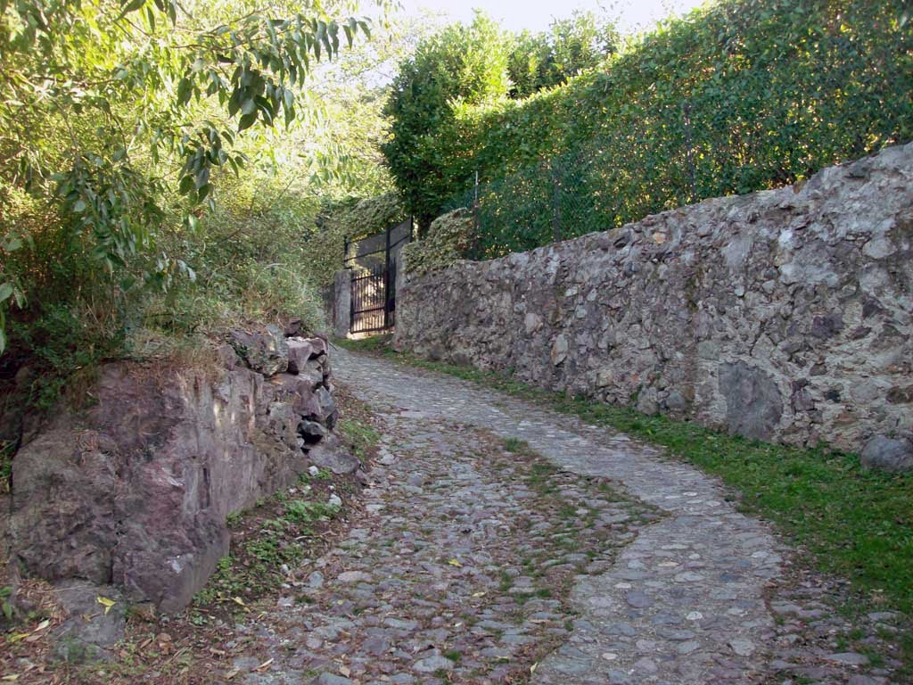 L'antica via del castello by Stefano Vian