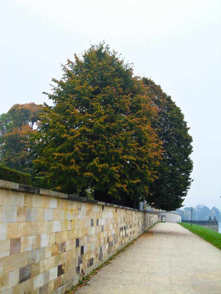 Der Herbst hält in Pillnitz Einzug by Conny Maus