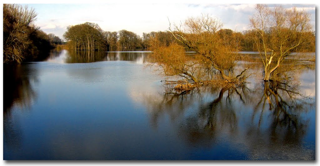 Odra, ujście Baryczy by Kałużny