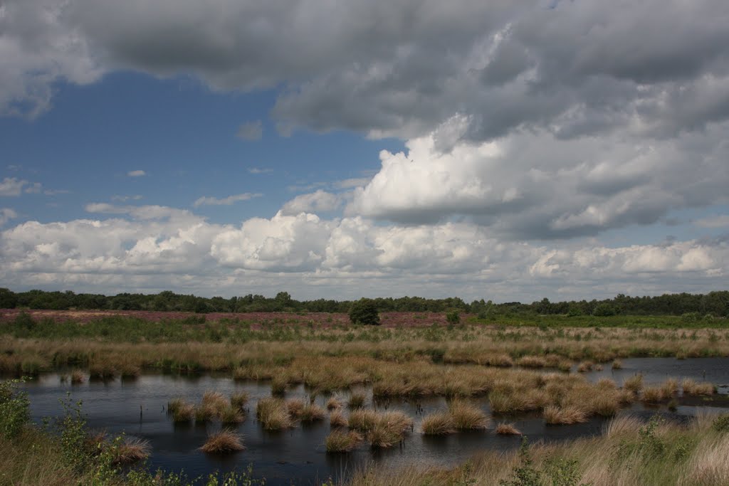 Engbertsdijksvenen heideveld noord by Gerrit Schepers