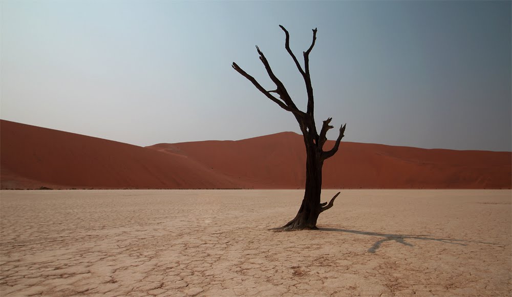 Sossusvlei - Dead Vlei II by Sven Goelles