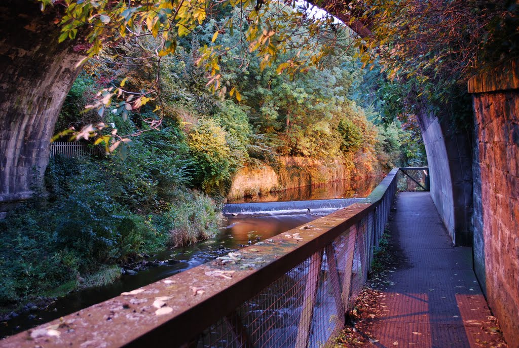 Edinburgh, along the Water of Leith - just a few minutes drive from home by Maciej Szester