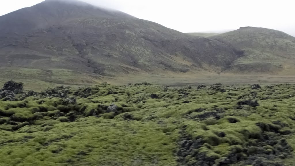 Lava flow field along route 1, Iceland by Colin W