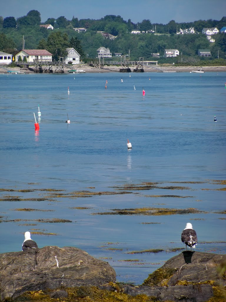 Harpswell Island by Giorgio Peirano