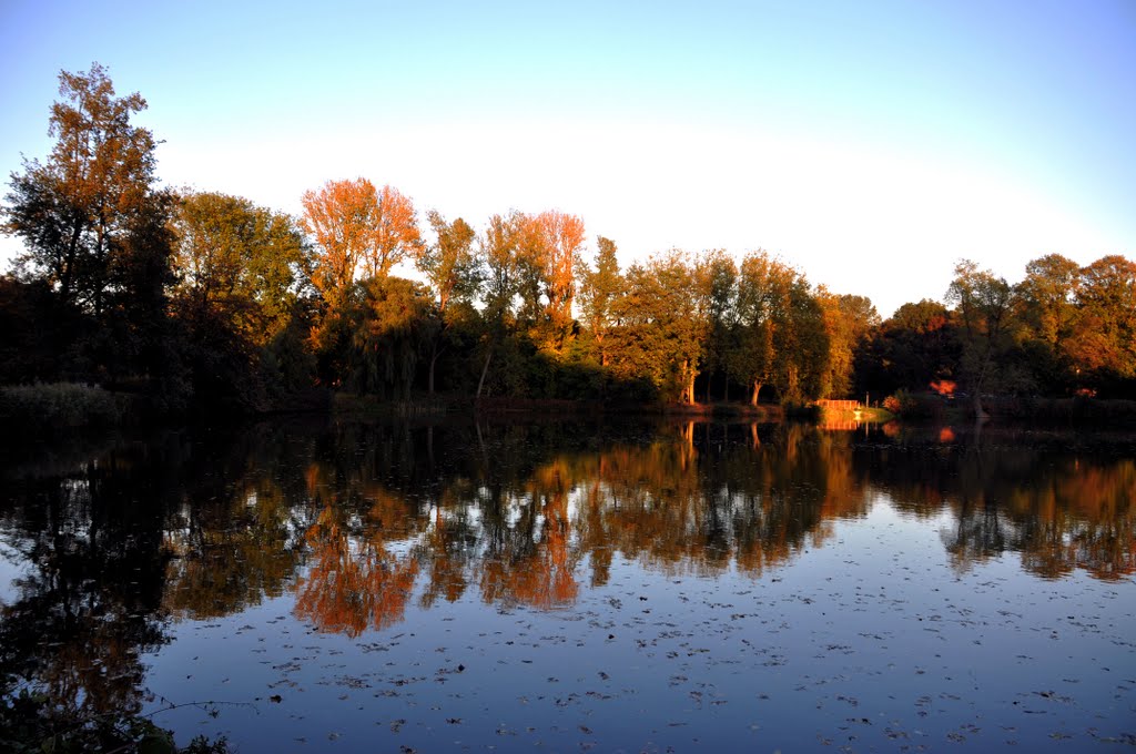 Herbststimmung am Brillenteich in Gladbeck by Dieter Hockertz