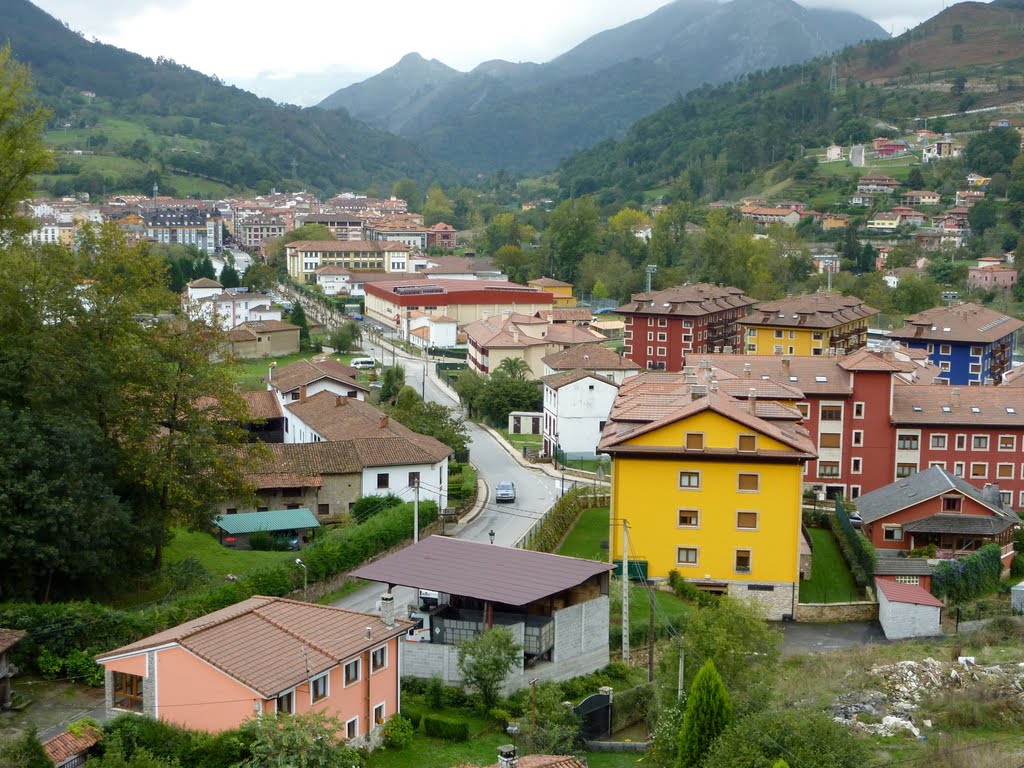 VISTA PARCIAL DE CANGAS DE ONIS-12-10-2010-PEDRO SANCHEZ. by pedroa49