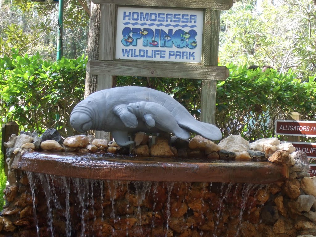 Homosassa Springs Wildlife Park by aagersh